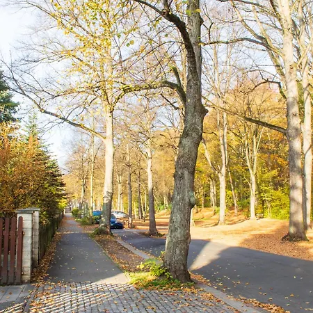 Stadtnatur Apartment Am Kuechwald - 2 Sz Mit Balkon, Waschmaschine, Streaming-Tv, Badewanne, Arbeitsplatz Lejlighed
