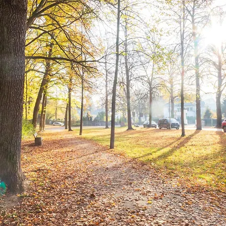 Stadtnatur Apartment Am Kuechwald - 2 Sz Mit Balkon, Waschmaschine, Streaming-Tv, Badewanne, Arbeitsplatz Lejlighed Chemnitz