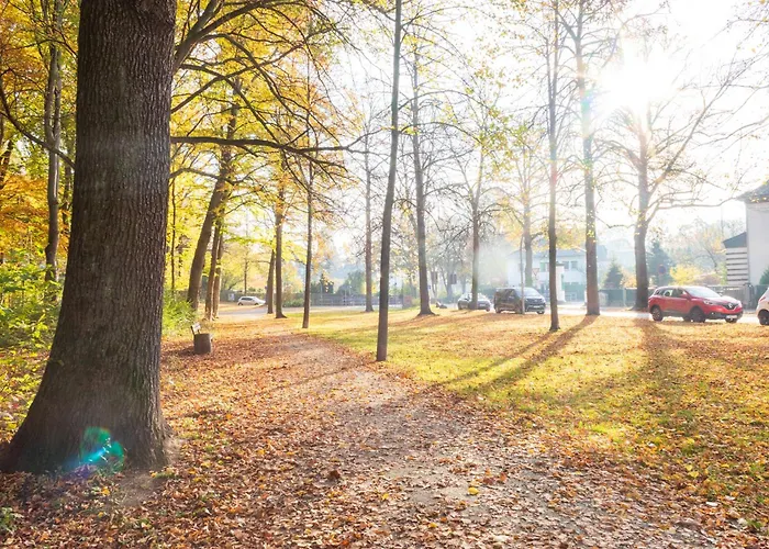 Stadtnatur Am Kuechwald - 2 Sz Mit Balkon, Waschmaschine, Streaming-tv, Badewanne, Arbeitsplatz Daire Chemnitz